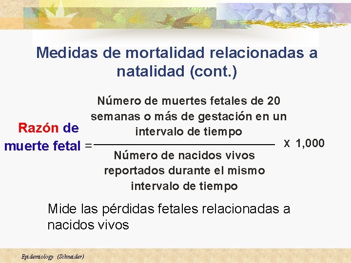 Medidas de mortalidad relacionadas a natalidad (cont. ) Número de muertes fetales de 20