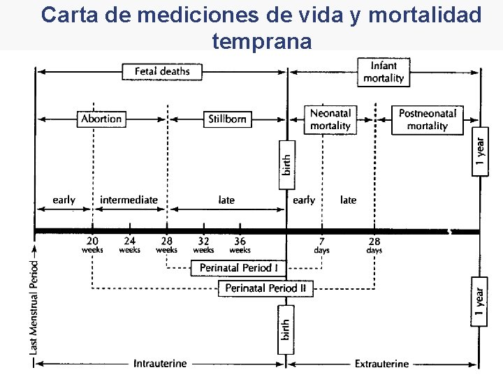 Carta de mediciones de vida y mortalidad temprana 