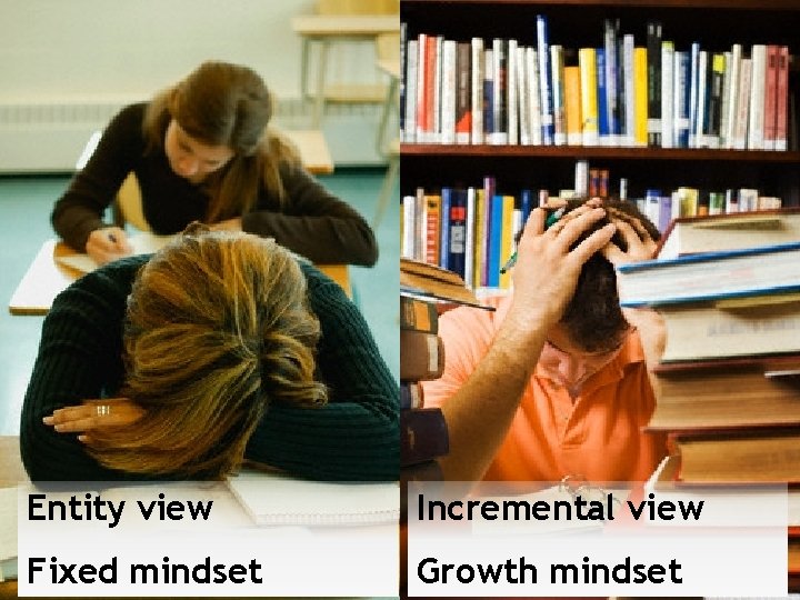 Entity view Incremental view Fixed mindset Growth mindset 