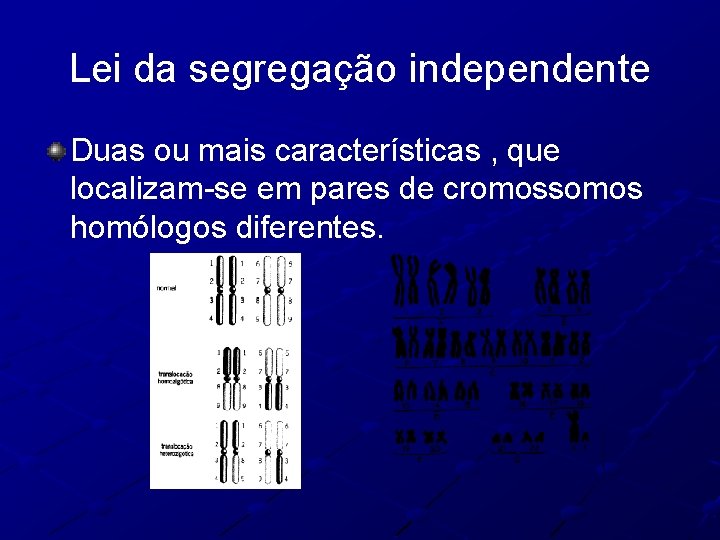 Lei da segregação independente Duas ou mais características , que localizam-se em pares de