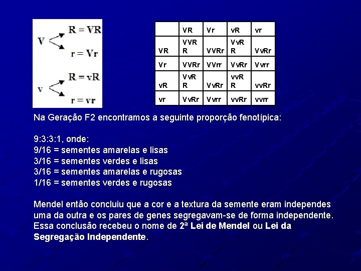  VR Vr v. R vr VR VVR R Vv. R VVRr R Vr