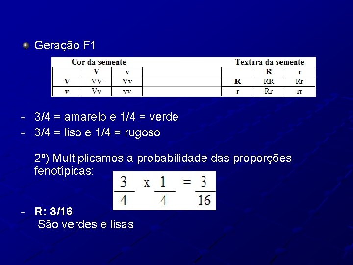 Geração F 1 - 3/4 = amarelo e 1/4 = verde - 3/4 =