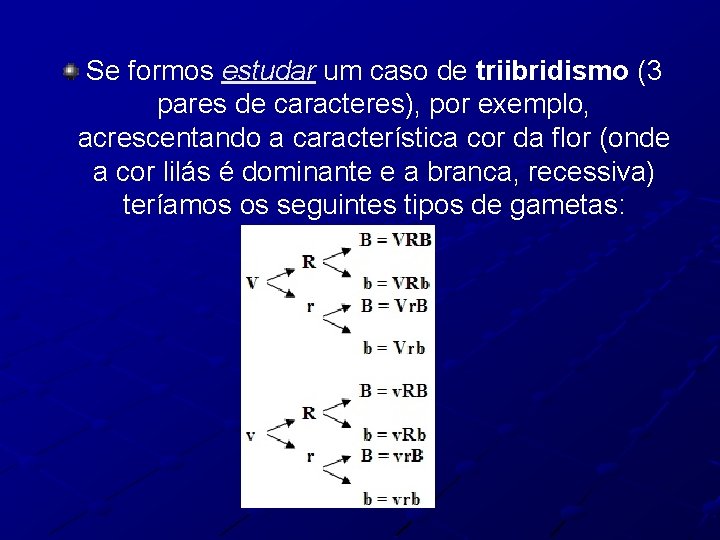 Se formos estudar um caso de triibridismo (3 pares de caracteres), por exemplo, acrescentando