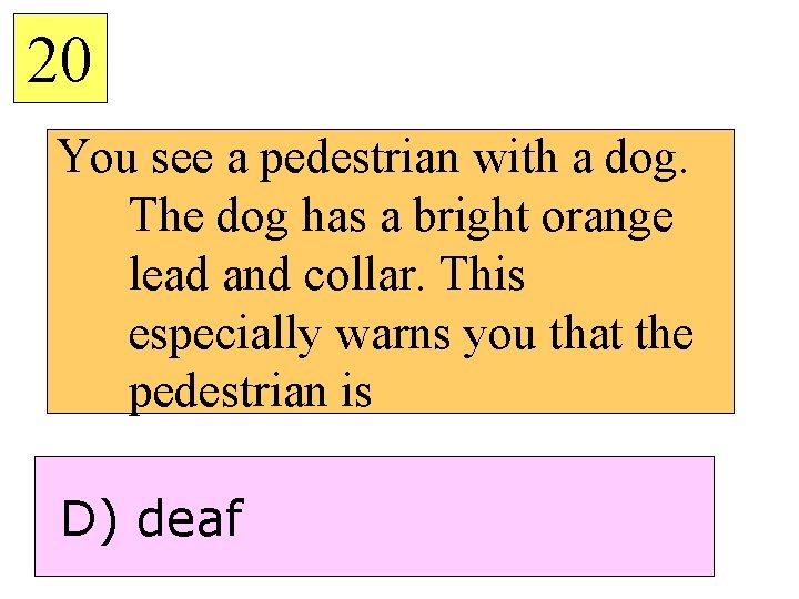 20 You see a pedestrian with a dog. The dog has a bright orange