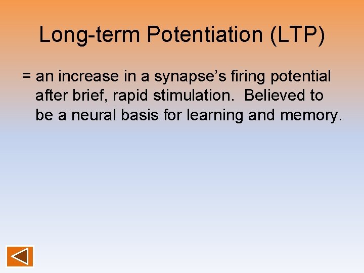 Long-term Potentiation (LTP) = an increase in a synapse’s firing potential after brief, rapid