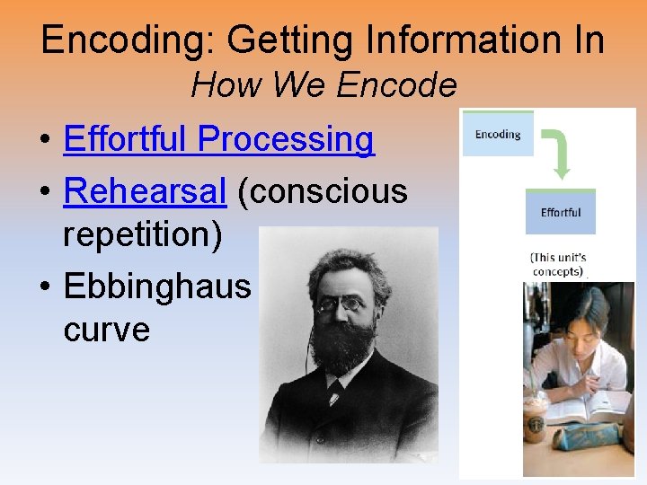 Encoding: Getting Information In How We Encode • Effortful Processing • Rehearsal (conscious repetition)