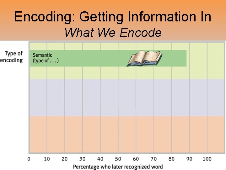 Encoding: Getting Information In What We Encode 