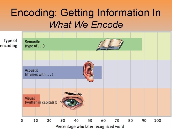 Encoding: Getting Information In What We Encode 