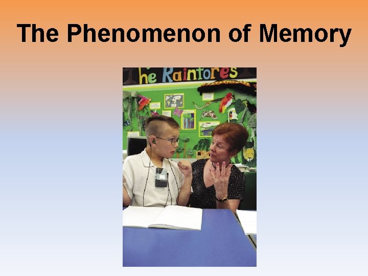 The Phenomenon of Memory 