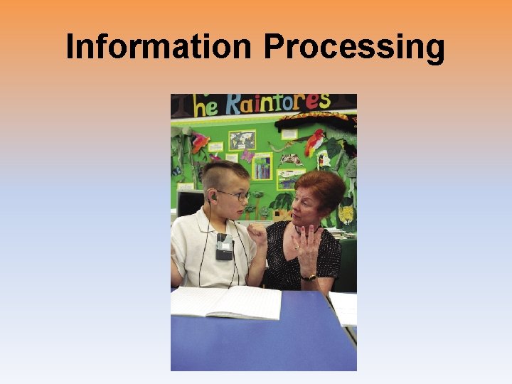 Information Processing 