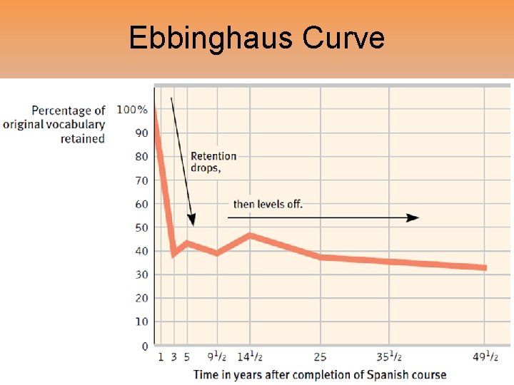 Ebbinghaus Curve 