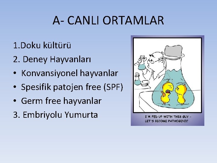 A- CANLI ORTAMLAR 1. Doku kültürü 2. Deney Hayvanları • Konvansiyonel hayvanlar • Spesifik