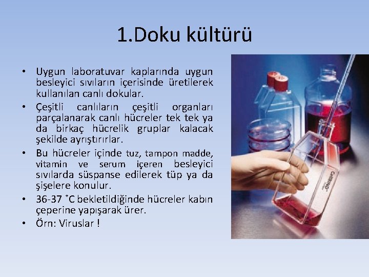 1. Doku kültürü • Uygun laboratuvar kaplarında uygun besleyici sıvıların içerisinde üretilerek kullanılan canlı