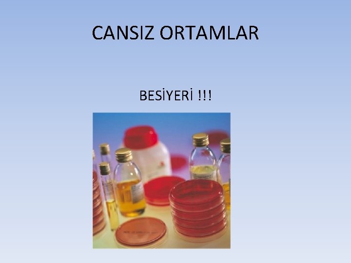 CANSIZ ORTAMLAR BESİYERİ !!! 