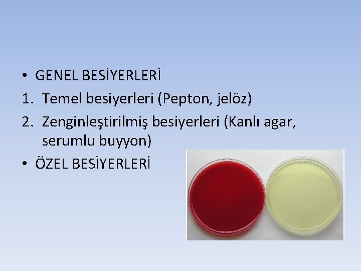  • GENEL BESİYERLERİ 1. Temel besiyerleri (Pepton, jelöz) 2. Zenginleştirilmiş besiyerleri (Kanlı agar,