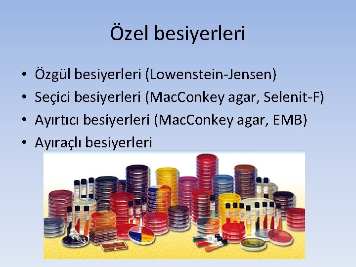 Özel besiyerleri • • Özgül besiyerleri (Lowenstein-Jensen) Seçici besiyerleri (Mac. Conkey agar, Selenit-F) Ayırtıcı