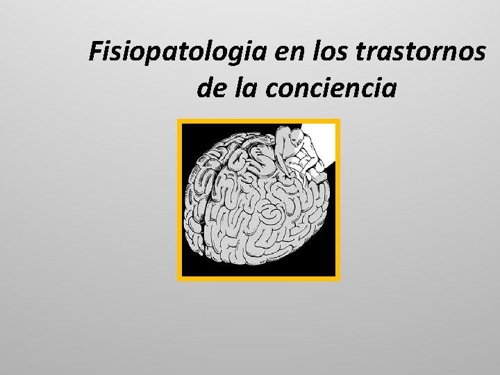 Fisiopatologia en los trastornos de la conciencia 