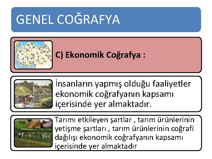 GENEL COĞRAFYA C) Ekonomik Coğrafya : İnsanların yapmış olduğu faaliyetler ekonomik coğrafyanın kapsamı içerisinde