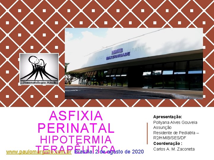 ASFIXIA PERINATAL HIPOTERMIA www. paulomargotto. com. br Brasília, 2 de agosto de 2020 TERAPÊUTICA