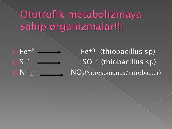 Ototrofik metabolizmaya sahip organizmalar!!! � Fe+2 � S-2 � NH 4+ Fe+3 (thiobacillus sp)