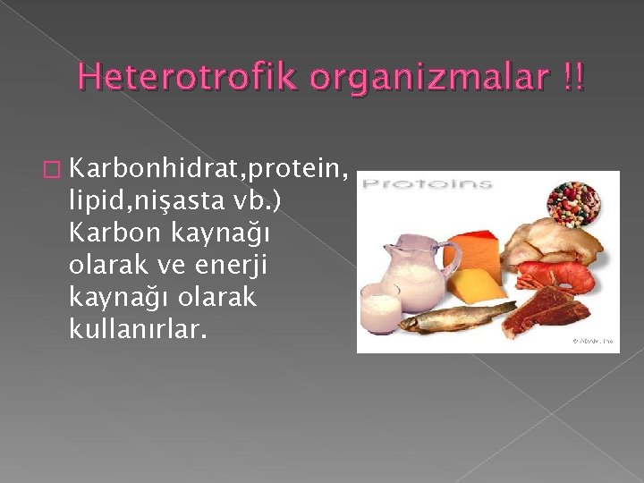 Heterotrofik organizmalar !! � Karbonhidrat, protein, lipid, nişasta vb. ) Karbon kaynağı olarak ve