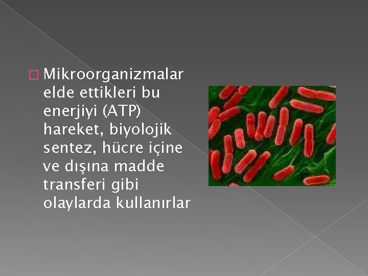 � Mikroorganizmalar elde ettikleri bu enerjiyi (ATP) hareket, biyolojik sentez, hücre içine ve dışına