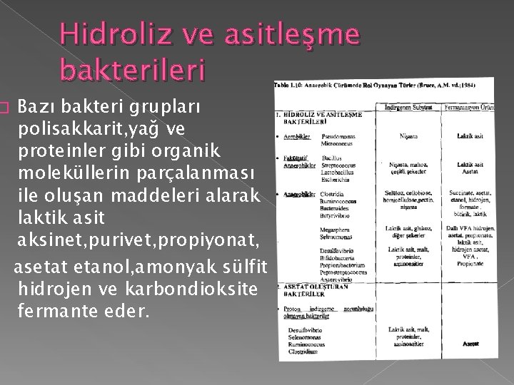 � Hidroliz ve asitleşme bakterileri Bazı bakteri grupları polisakkarit, yağ ve proteinler gibi organik � Hidroliz ve asitleşme bakterileri Bazı bakteri grupları polisakkarit, yağ ve proteinler gibi organik