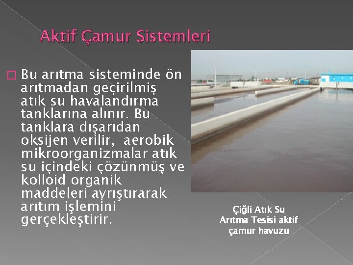 Aktif Çamur Sistemleri � Bu arıtma sisteminde ön arıtmadan geçirilmiş atık su havalandırma tanklarına Aktif Çamur Sistemleri � Bu arıtma sisteminde ön arıtmadan geçirilmiş atık su havalandırma tanklarına