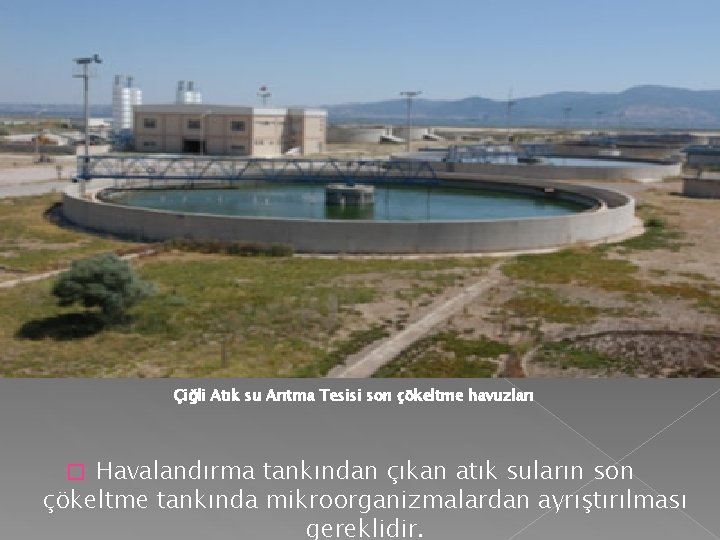 Çiğli Atık su Arıtma Tesisi son çökeltme havuzları Havalandırma tankından çıkan atık suların son Çiğli Atık su Arıtma Tesisi son çökeltme havuzları Havalandırma tankından çıkan atık suların son