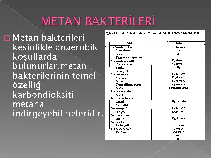 METAN BAKTERİLERİ � Metan bakterileri kesinlikle anaerobik koşullarda bulunurlar. metan bakterilerinin temel özelliği karbondioksiti METAN BAKTERİLERİ � Metan bakterileri kesinlikle anaerobik koşullarda bulunurlar. metan bakterilerinin temel özelliği karbondioksiti