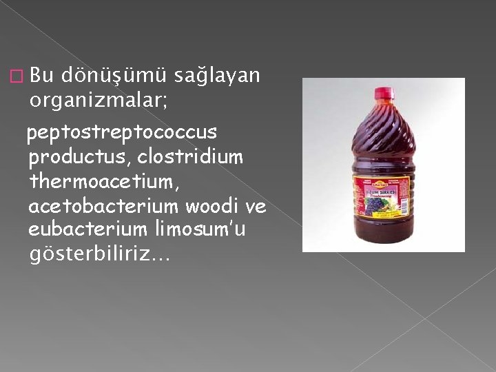 � Bu dönüşümü sağlayan organizmalar; peptostreptococcus productus, clostridium thermoacetium, acetobacterium woodi ve eubacterium limosum’u