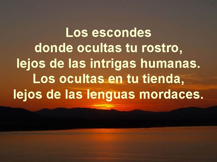 Los escondes donde ocultas tu rostro, lejos de las intrigas humanas. Los ocultas en