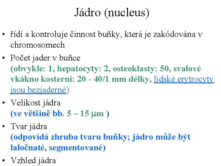  Jádro (nucleus) • řídí a kontroluje činnost buňky, která je zakódována v chromosomech