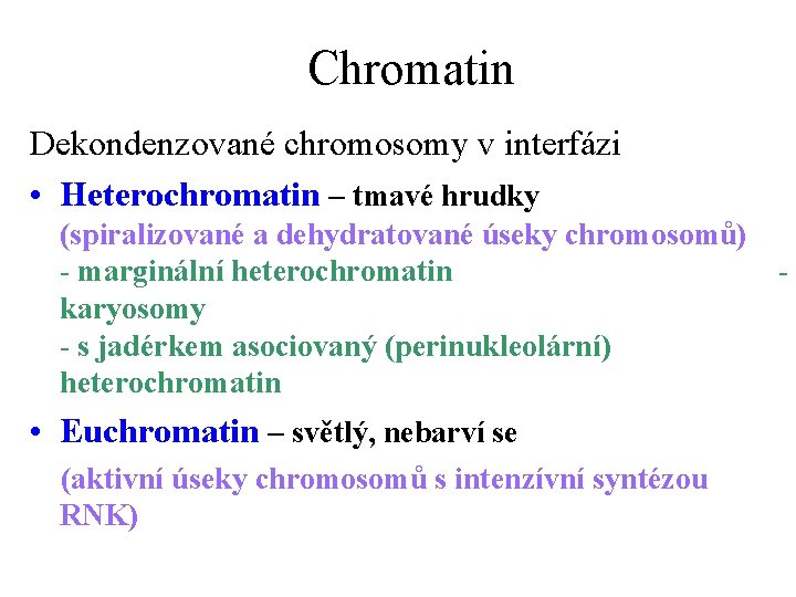 Chromatin Dekondenzované chromosomy v interfázi • Heterochromatin – tmavé hrudky (spiralizované a dehydratované úseky