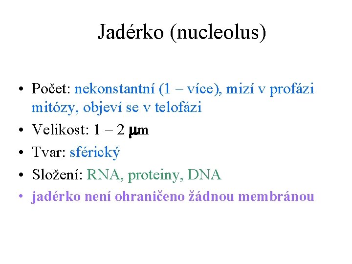 Jadérko (nucleolus) • Počet: nekonstantní (1 – více), mizí v profázi mitózy, objeví se