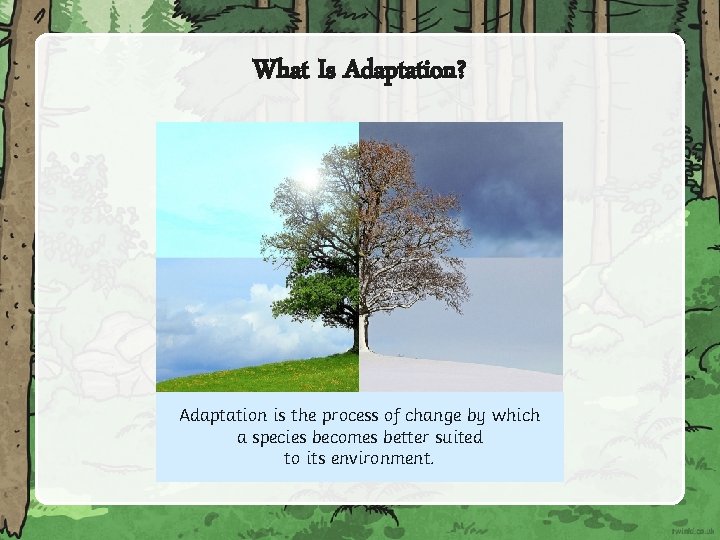 What Is Adaptation? Adaptation is the process of change by which a species becomes