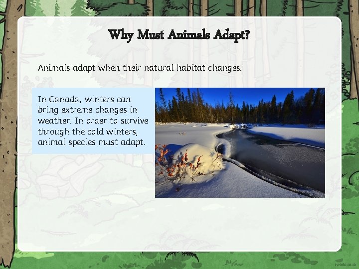 Why Must Animals Adapt? Animals adapt when their natural habitat changes. In Canada, winters