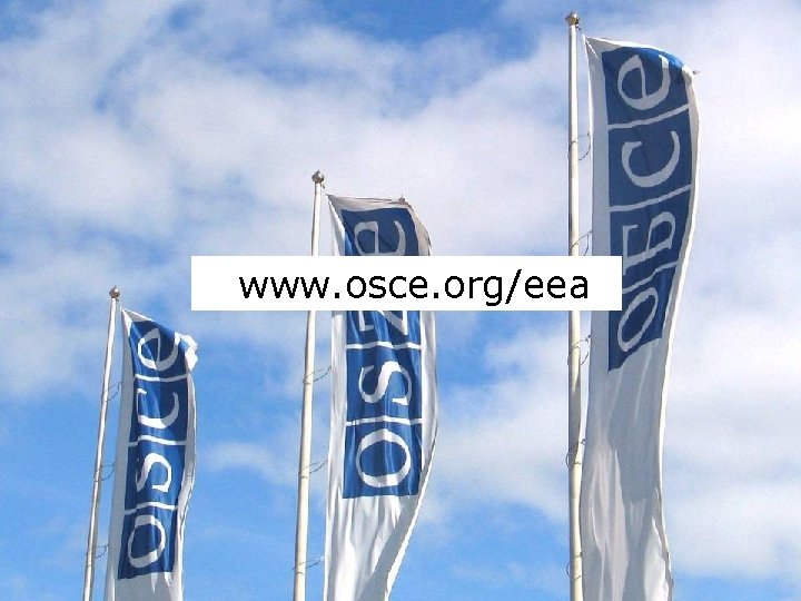 For more detailed information on the www. osce. org/eea For more detailed information on the www. osce. org/eea