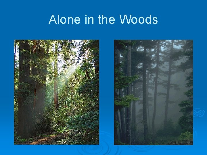 Alone in the Woods 