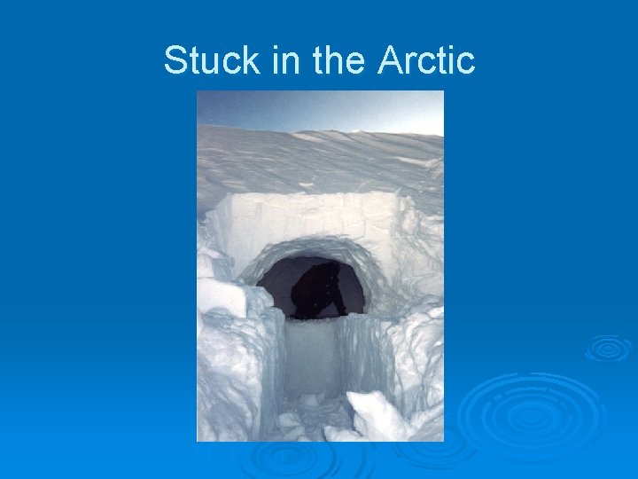 Stuck in the Arctic 