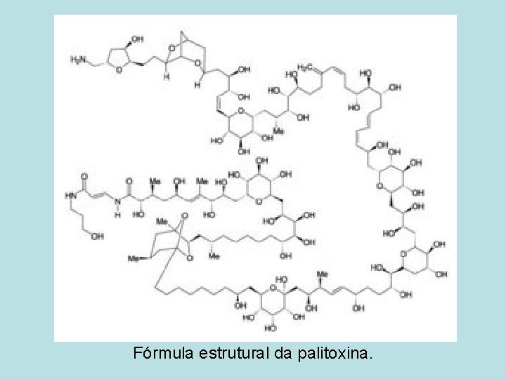 Fórmula estrutural da palitoxina. 
