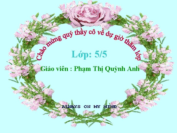 Lớp: 5/5 Giáo viên : Phạm Thị Quỳnh Anh 