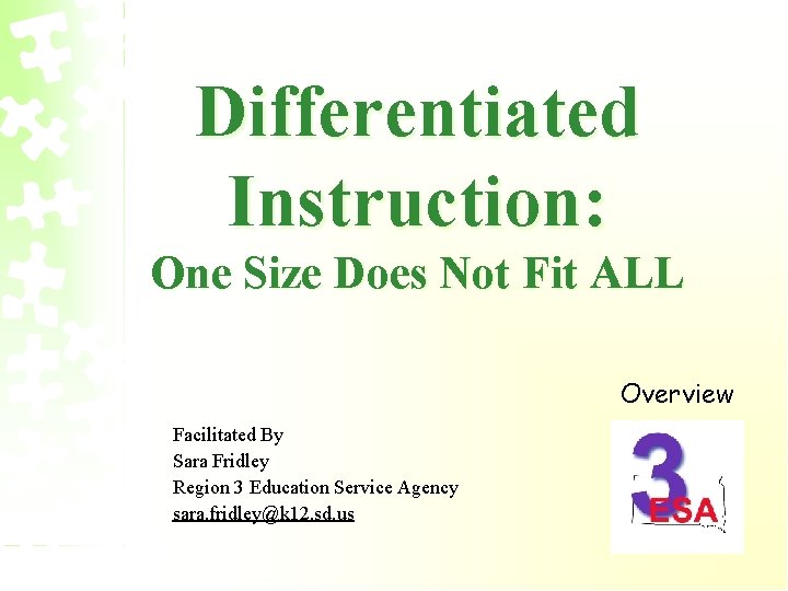 Differentiated Instruction: One Size Does Not Fit ALL Overview Facilitated By Sara Fridley Region