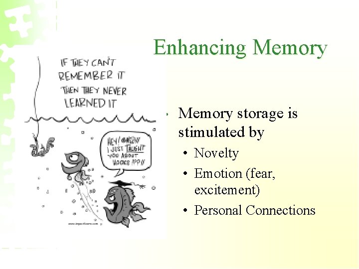 Enhancing Memory • Memory storage is stimulated by • Novelty • Emotion (fear, excitement)