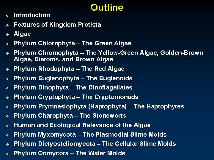 Outline v Introduction v Features of Kingdom Protista v Algae v Phylum Chlorophyta –