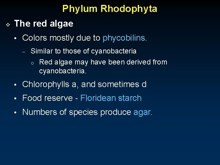 Phylum Rhodophyta v The red algae • Colors mostly due to phycobilins. – Similar