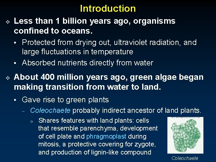 Introduction v Less than 1 billion years ago, organisms confined to oceans. • Protected