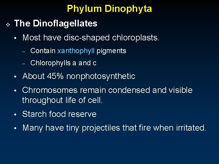 Phylum Dinophyta v The Dinoflagellates • Most have disc-shaped chloroplasts. – Contain xanthophyll pigments