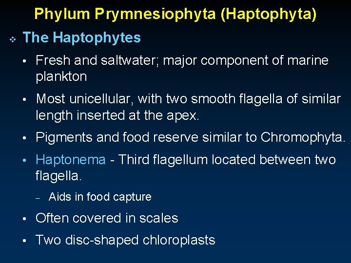 Phylum Prymnesiophyta (Haptophyta) v The Haptophytes • Fresh and saltwater; major component of marine