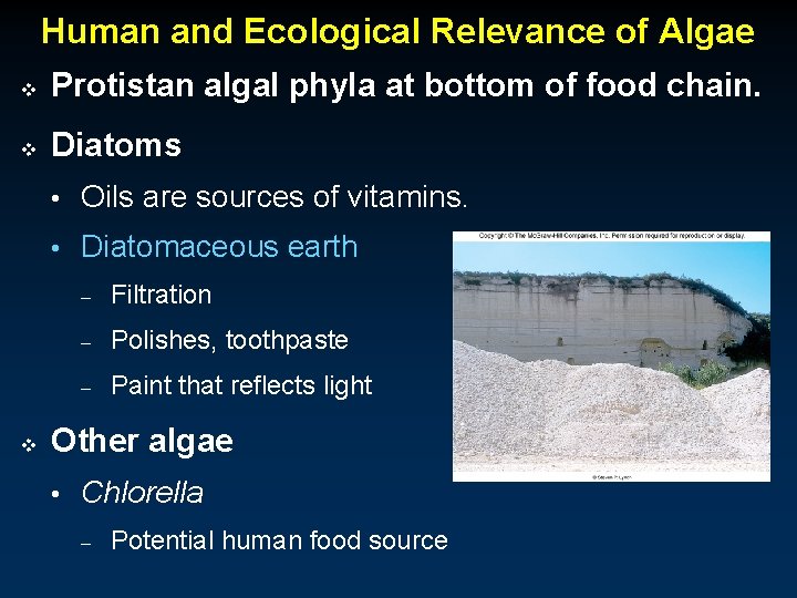 Human and Ecological Relevance of Algae v Protistan algal phyla at bottom of food